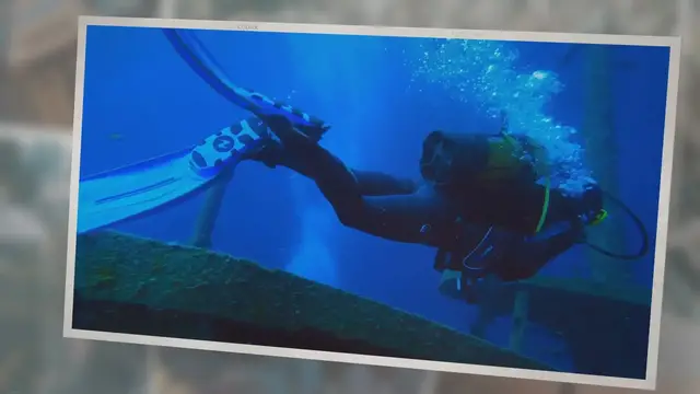 Video thumbnail for Was ist ein Golfballtaucher?