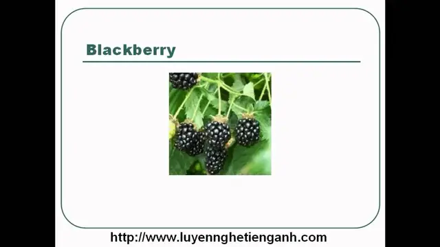 Video thumbnail for Learn English Vocabulary Through Pictures - Topic - Fruits Lesson 01