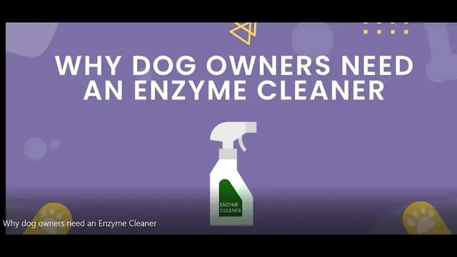 'Video thumbnail for Why dog owners need an Enzyme Cleaner'