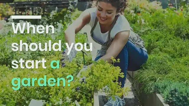 Video thumbnail for when should you start a garden