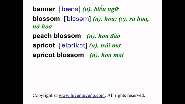 Video thumbnail for Learn English Vocabulary - Grade 11 - Unit 08 - Lesson 01