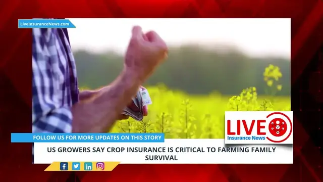 Video thumbnail for US growers say crop insurance is critical to farming family survival