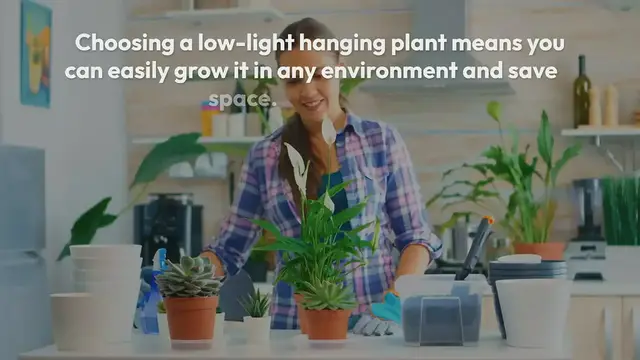 'Video thumbnail for Low Light Hanging Plants'