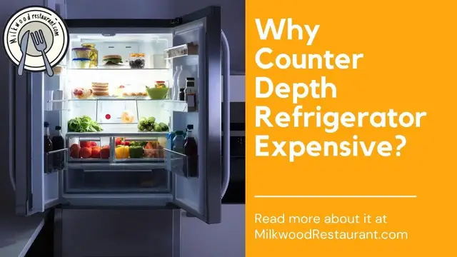 Video thumbnail for Why Counter Depth Refrigerator Expensive? 6 Superb Reasons Why Counter Depth Refrigerator Expensive