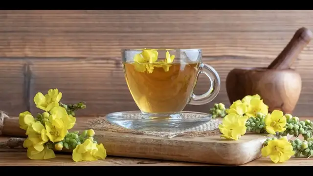 Video thumbnail for Mullein Tea, 3 Superb Benefits That You Need To Know!