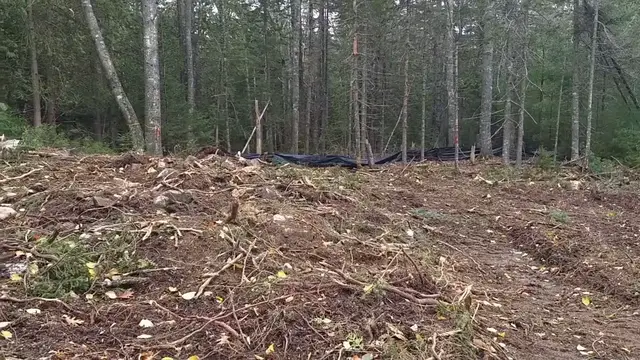 Video thumbnail for Cleared Land