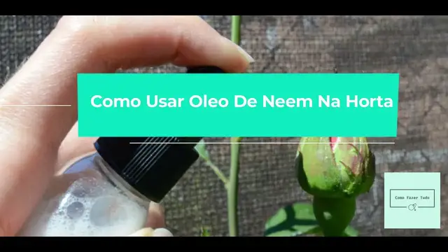 'Video thumbnail for Como Usar Oleo De Neem Na Horta – Passo a Passo 🌱'