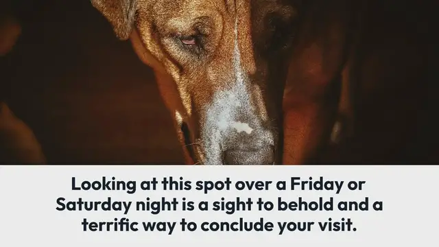 Video thumbnail for The 2-Minute Rule For virginia tech basketball