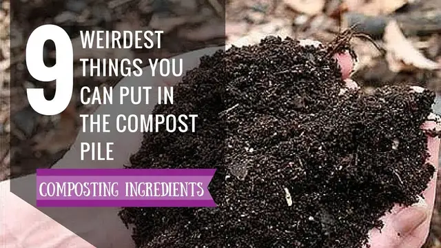 Video thumbnail for Weird Compost Ingredients | 9 Things you never thought you can put inside Compost