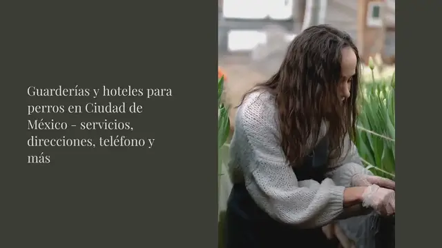 Video thumbnail for Guarderías y hoteles para perros en Ciudad de México - servicios, direcciones, teléfono y más