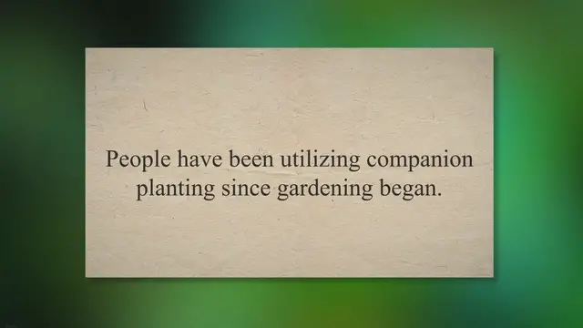 'Video thumbnail for Why Should You Not Plant Cucumbers Near Tomatoes'