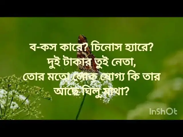 'Video thumbnail for কবিতাঃ কথায় জবাব,লেকা ও আবৃত্তি: রফিকুল ইসলাম। #আর_ইসলামের_কবিতা'