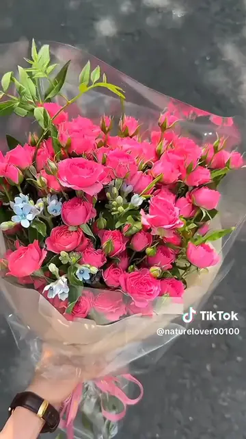 Video thumbnail for Naturally relax Rain