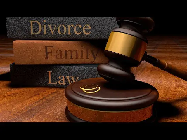 Video thumbnail for Divorce in Florida steps: video blog