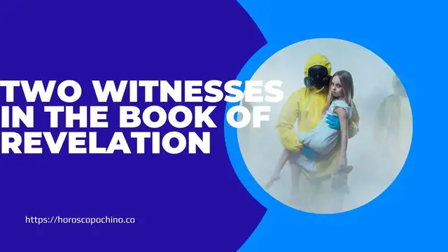 Video thumbnail for Who are the two witnesses in the book of revelation video blog