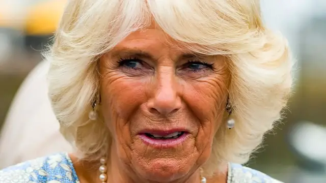 Video thumbnail for Here's What Will Happen To Queen Camilla If King Charles Dies First