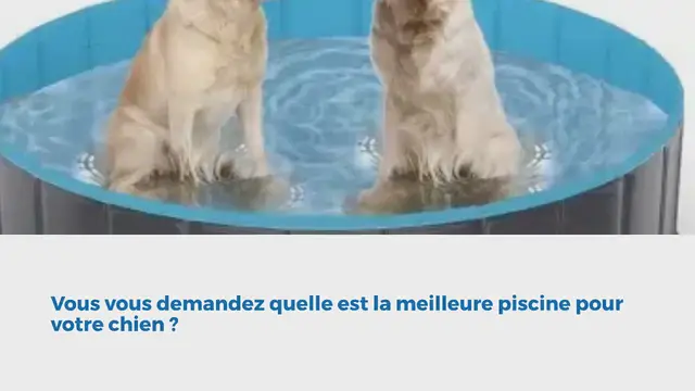 Video thumbnail for Les 5 meilleures piscines pour chien en 2024