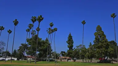 'Video thumbnail for Untitled'