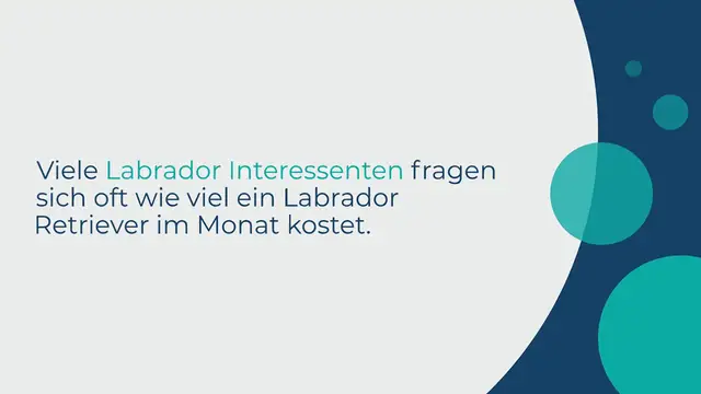 Video thumbnail for Wie viel kostet ein Labrador im Monat?