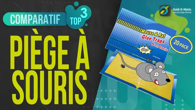 Video thumbnail for ⭐️ MEILLEUR PIÈGE A SOURIS (2022) - Comparatif & Guide d'achat