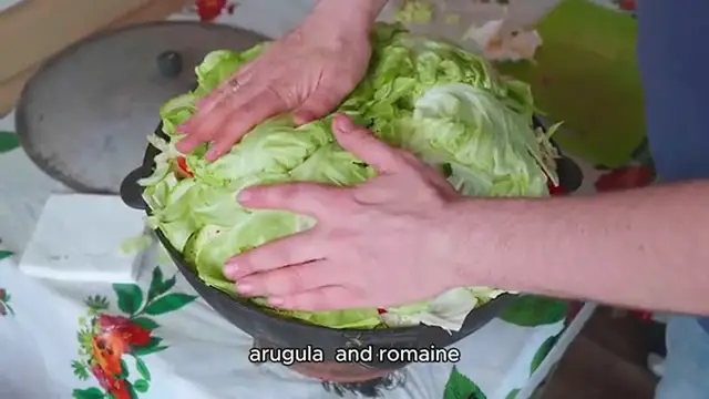 Video thumbnail for Apple Cranberry Walnut Salad Recipe