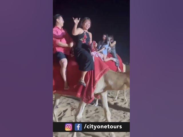Video thumbnail for Travel diaries
