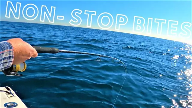 'Video thumbnail for California Saltwater Fishing with SQUIDS || SURPRISE CATCHES!'
