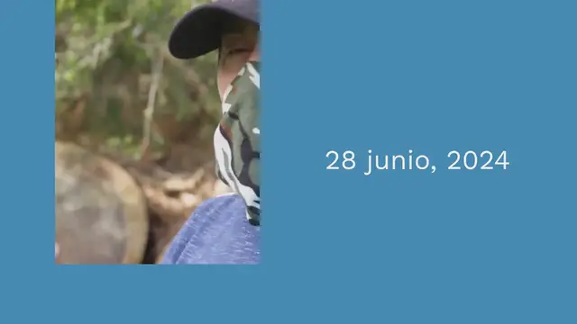 Video thumbnail for Qué es Instagram y cómo funciona