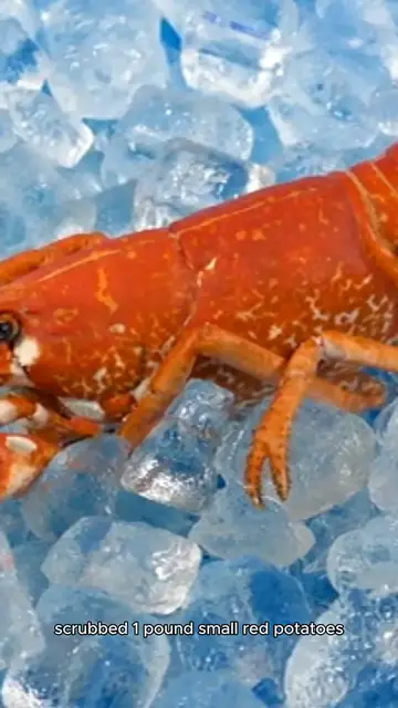 Video thumbnail for seafood boil recipe