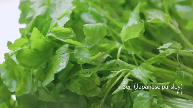 Video thumbnail for SERI NABE   SERI NABE (Hot pot)   Miyagi s local cuisine in Japan(720P HD)