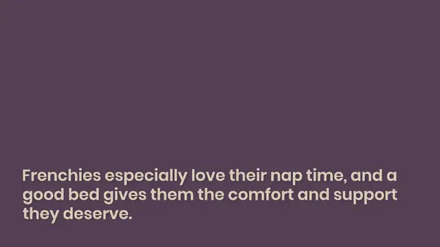 Video thumbnail for 10 Best Dog Beds for French Bulldogs in 2024