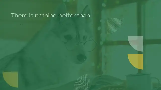 Video thumbnail for 320 Literary Dog Names For Your Book Worm Furry Friend