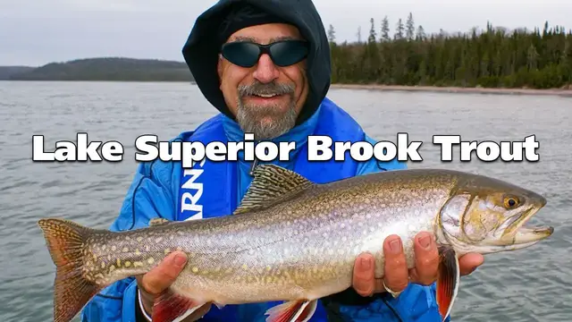 Video thumbnail for Lake Superior Brook Trout and Steelhead | Fish'n Canada