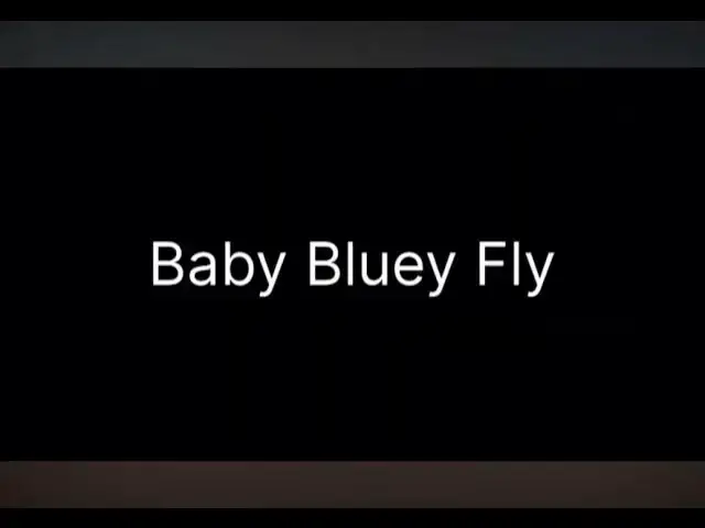 'Video thumbnail for Top 5 Bluey'
