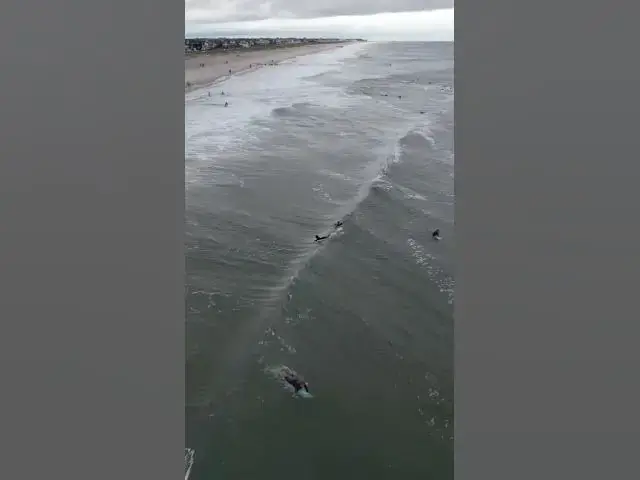 Video thumbnail for Surfing After Hurricane Lee