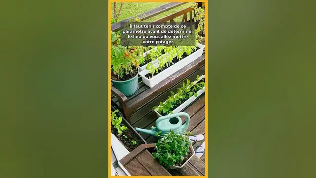 'Video thumbnail for 🥦🪴Astuces pour créer votre potager urbain ! 🍇🥒'