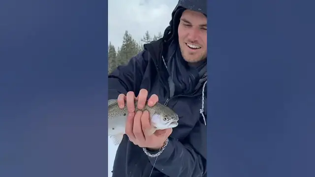 Video thumbnail for Snow Fishing for Trout || Big Bear Lake || #Shorts