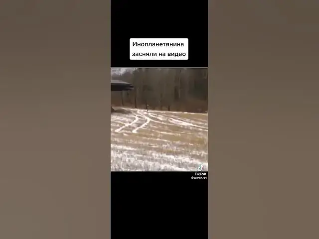 Video thumbnail for 16 February 2023