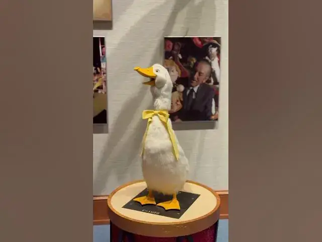 'Video thumbnail for Goose From Small World in Opera House'