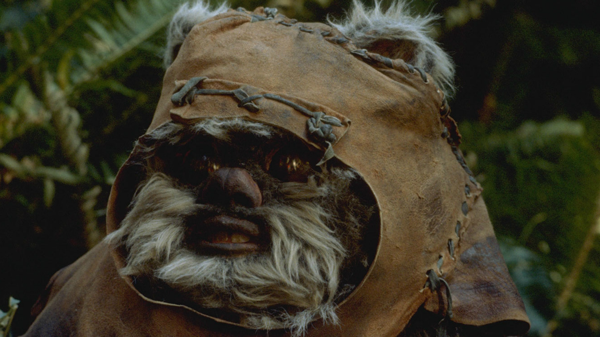 Video thumbnail for Films The Studios Don't Want You To See