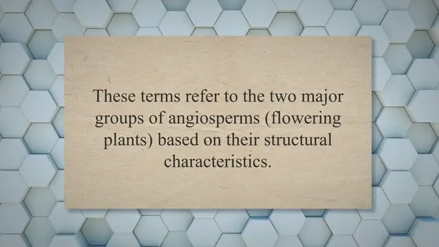 Video thumbnail for Differences between monocots and dicots in botany