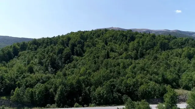 Video thumbnail for Apple's Best iPhone Apps of 2016 A Curated List of Essential & Fun Apps