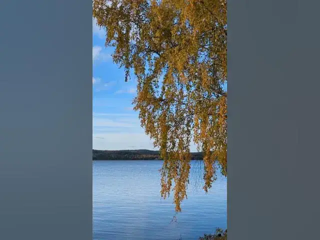 Video thumbnail for Quería (Balada Cover) #Quería #SalvadorSaavedra #Balada #Cover #Suno