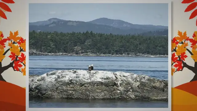 Video thumbnail for 🍁 Discovering Canada: From Rockies to Maple Syrup! 🏞️🥞