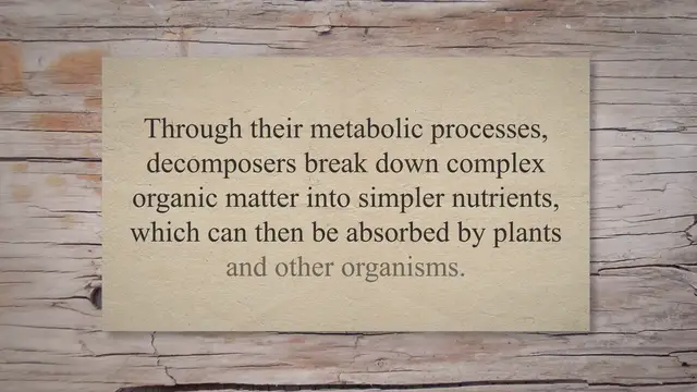 Video thumbnail for Decomposers and their role in nutrient cycling