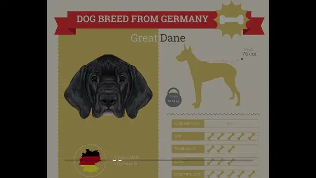 'Video thumbnail for History of The Great Dane'