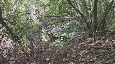 'Video thumbnail for Secrets of Oak Canyon & Silverado Adventure'