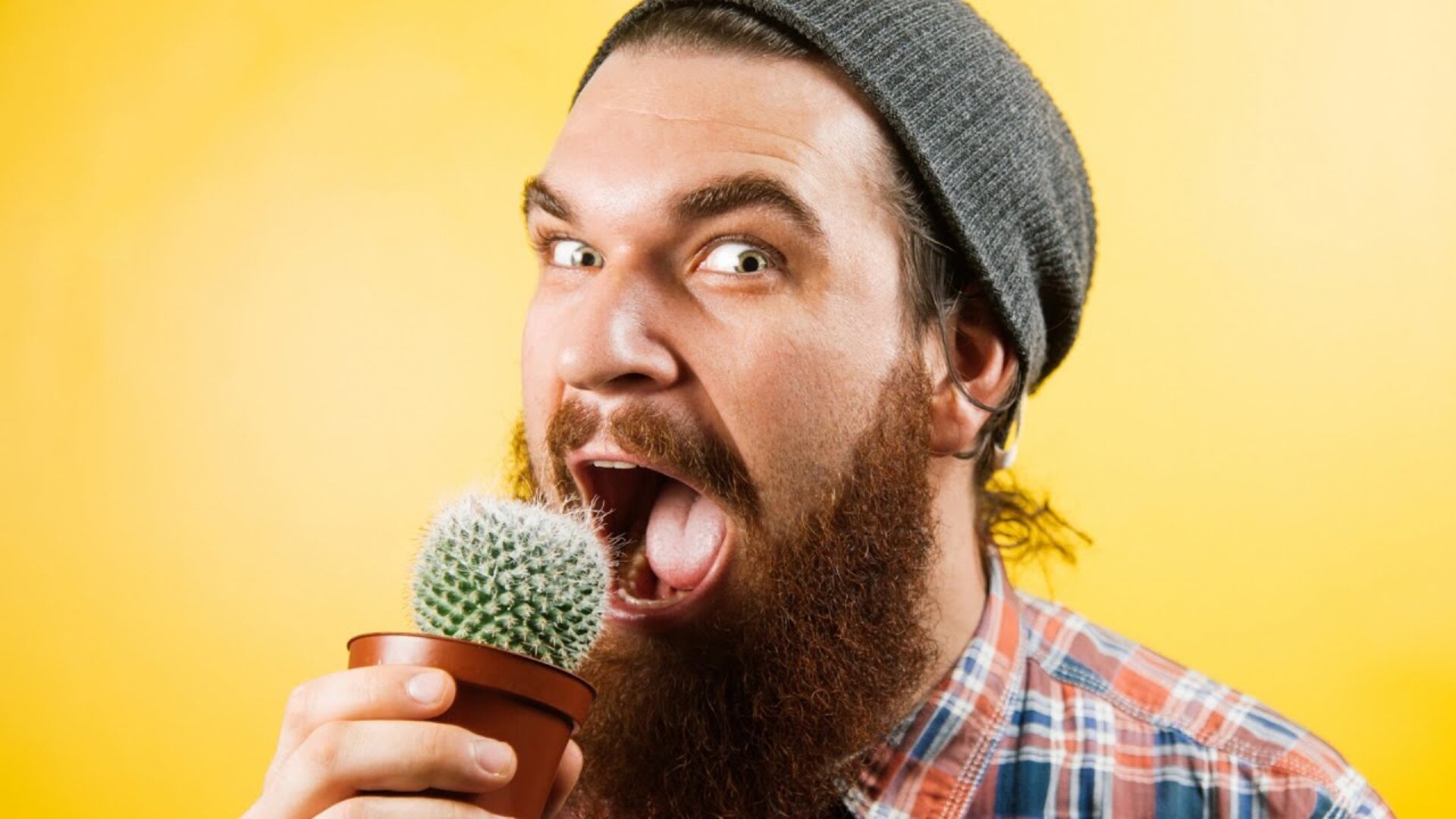 Video thumbnail for We Finally Know How To Eat Cactus Without Getting Poked