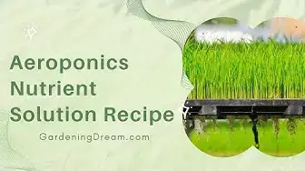 Video thumbnail for Aeroponics Nutrient Solution Recipe