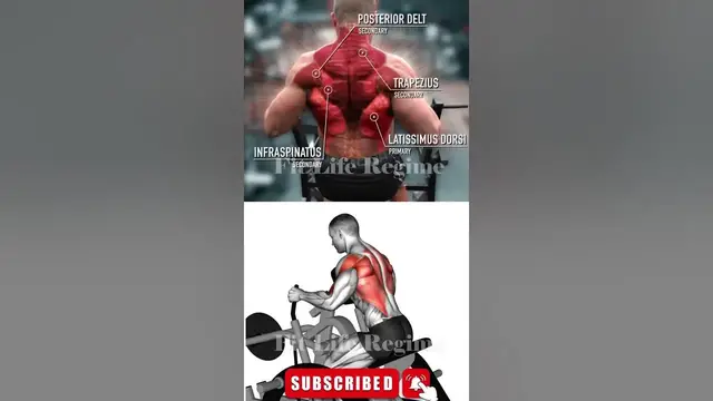 Video thumbnail for 5 Best Exercises To Strengthen Your Back And Abs